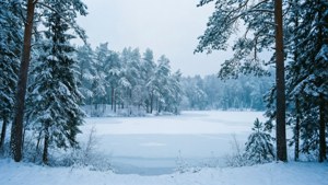 超ワイドの冬景色に広がる雪の森と凍った湖。