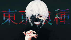 東京喰種の画像 — 東京喰種 GIF 壁紙