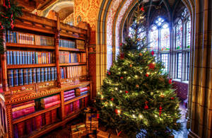 図書館の美しいクリスマス