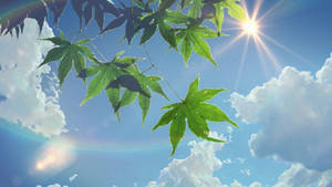 夏の美しさ 太陽と空 壁紙 — 夏の美学 壁紙