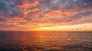 海に沈む美しい夕日が、鮮やかな色彩と反射を生み出しています。 — 空の眺め 壁紙