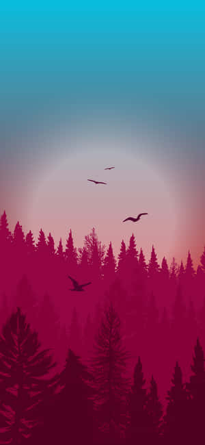 Night Forest — Pixel 8 壁紙