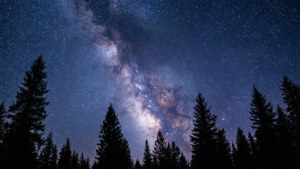 松林のシルエットの上に天の川が広がる星空の夜。 — 空の眺め 壁紙