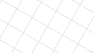 ホワイトの美的背景 — 白い美学 壁紙