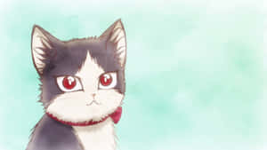 室内で若い男性と過ごす飼い猫 — アニメ猫 壁紙