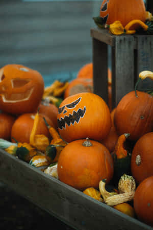 高解像度ハロウィン背景 — ハロウィン iPhone 壁紙
