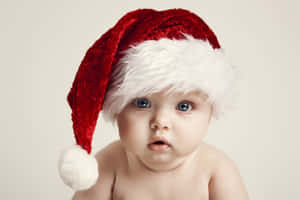 かわいい美しいクリスマスの写真