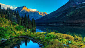 HD背景