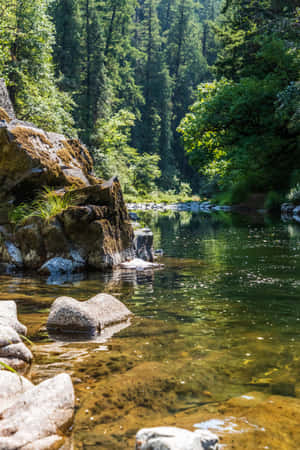 川の背景 — Xiaomi Pad 9 Pro 壁紙