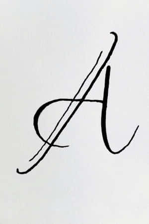 写真 — Vivo Pad5 Pro 壁紙