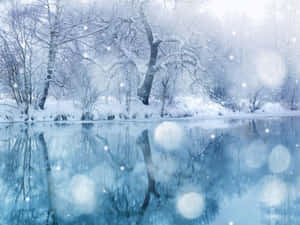 冬の雪の背景 — 冬の美学 壁紙