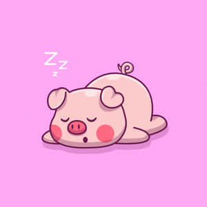 かわいい豚の画像 — かわいい豚 壁紙