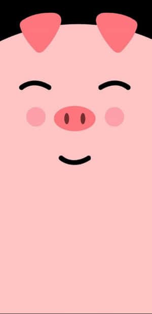 かわいい豚の背景 — かわいい豚 壁紙