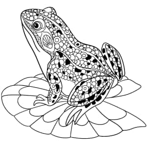 カエルの描画画像 — iPad Pro M4 壁紙