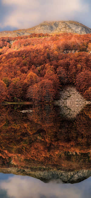 iPhone Xs Max 秋の背景 — HMD Pulse 2 Pro 壁紙