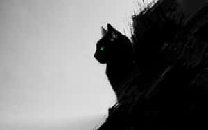 黒猫の画像 — キャット・ノワール 壁紙