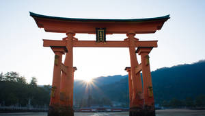日本 鳥居 夕日 壁紙 — 日本 壁紙