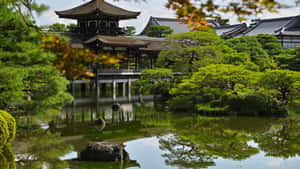 日本の写真 — 日本 壁紙