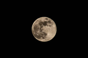 プレビュー壁紙 月、満月、黒、夜
