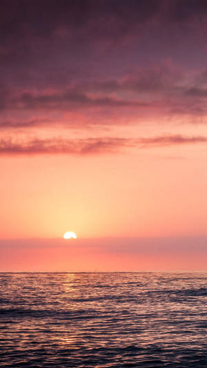 曇り空のピンク色の夕日と海 — 海景 壁紙