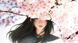 桜の背景 — 桜 壁紙