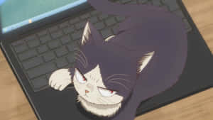 温かいひとときの仲間たち — 猫 壁紙