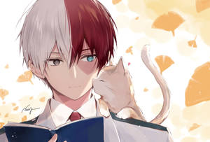 猫と一緒のかわいいトドロキの壁紙