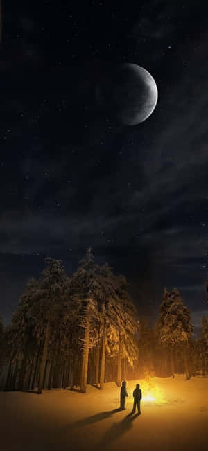 1179x2556