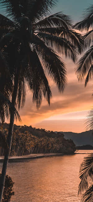 1170x2532 — Huawei nova 16 壁紙