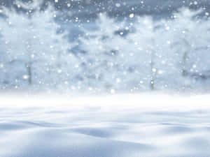 雪の背景 — 冬の美学 壁紙