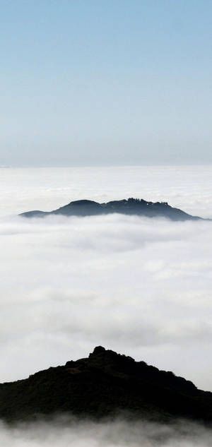 白いiPhone 山 雲 — Galaxy S24 壁紙