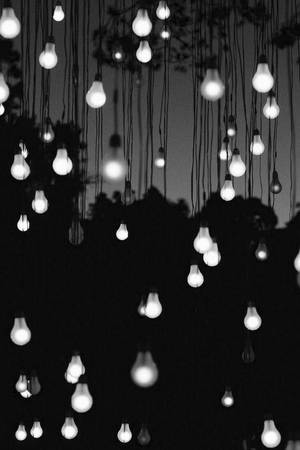 白黒の美的な多数の電球