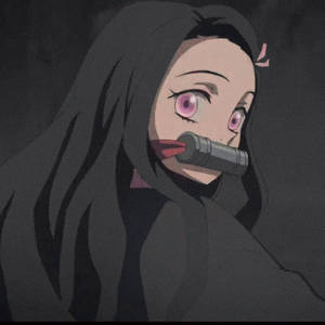 眩しいねず子の美学 — アニメ 悪魔 壁紙