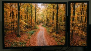 デュアルモニター向けの、真上から見下ろした秋の森の風景。