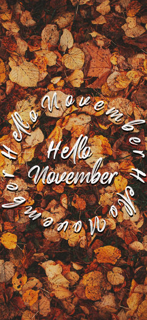 秋の葉の上に「Hello November」壁紙 — iPhone 14 Pro 壁紙