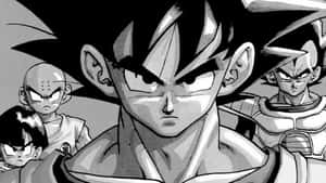 ドラゴンボールの画像 — ドラゴンボール 壁紙