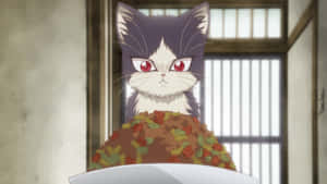 窓の外を眺める好奇心旺盛な猫のルームメイト — かわいい猫 壁紙