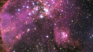 紫の銀河で星々に手を伸ばせ