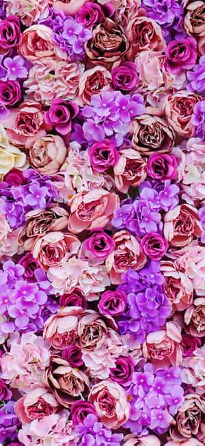 紫色の花の画像 — Realme GT 7T 壁紙