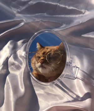 アートな猫の画像 — Xiaomi Mix Flip 2 壁紙