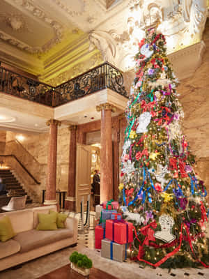 美しいクリスマスの写真 — クリスマス エステ 壁紙