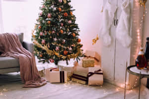 美しいクリスマス写真