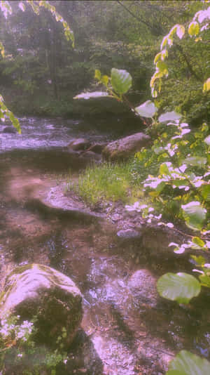 フェアリーエステティックの背景 — フェアリー美学 壁紙