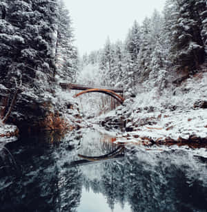 雪の美しい風景画像 — 冬の美学 壁紙