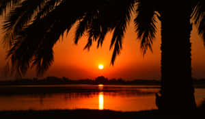 美しい夕日の写真
