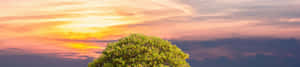 4K自然背景 — 4K自然GIF 壁紙