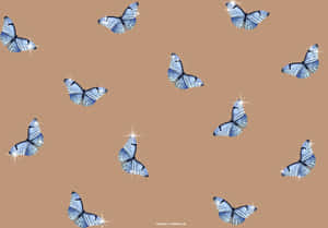美しい画像 — 蝶の美学 壁紙
