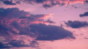 美しい雲の上を舞う — 美しい雲 壁紙