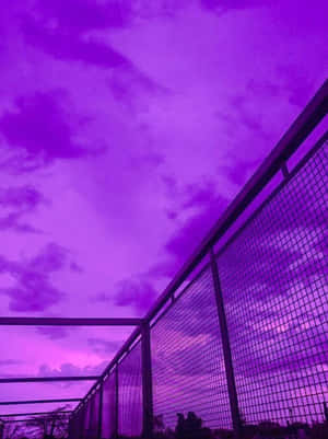 美観的な空の写真