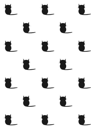 黒猫の画像 — 黒猫 壁紙